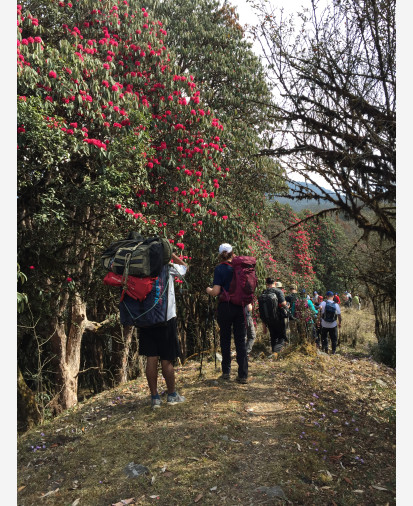 Sikles Homestay Trek